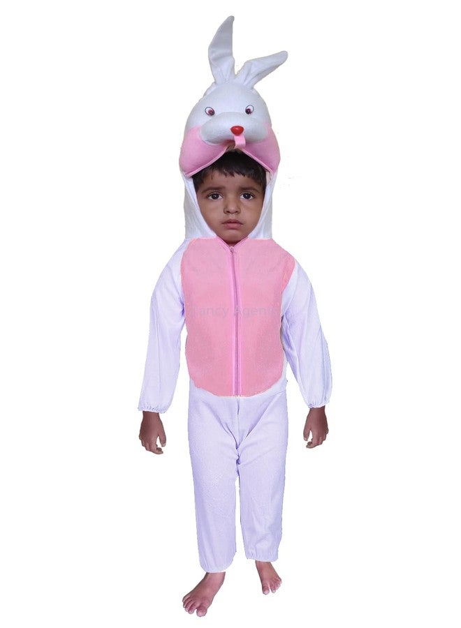 Fancy Agents Rabbit Animal Costume for Kids | Animal Rabbit Dress for kids for animal word day, school annual function and Fancy dress competition